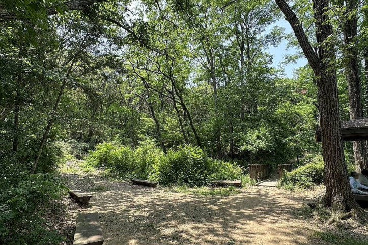 서울대공원 산림욕장 여행 추천 - 메고지고