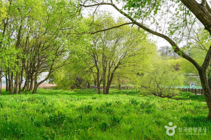 금장대 수변공원 여행 추천 - 메고지고