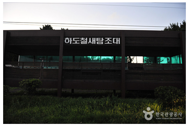 하도리 철새도래지 여행 추천 - 메고지고
