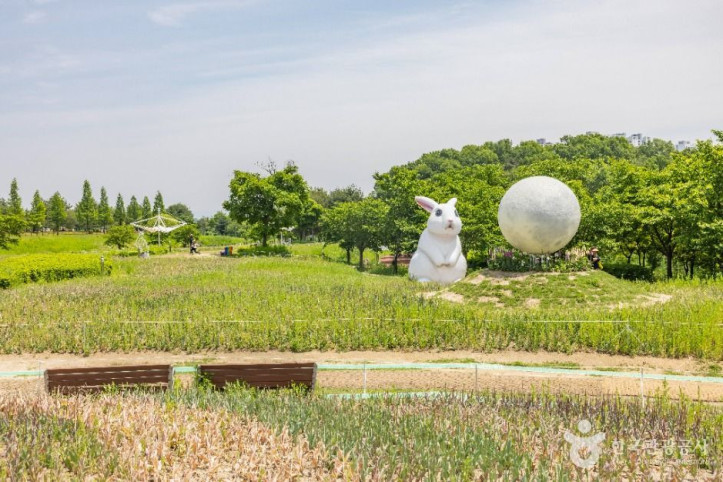 문암생태공원 여행 추천 - 메고지고