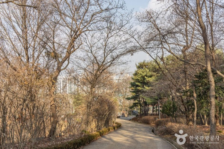 대모산도시자연공원 여행 추천 - 메고지고