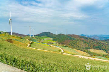 검룡소 (강원고생대 국가지질공원) 여행 추천 - 메고지고