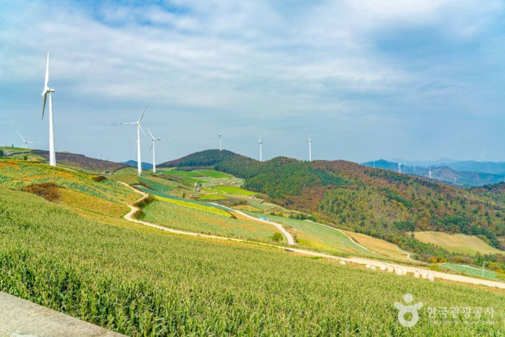 매봉산풍력발전단지(바람의 언덕) 여행 추천 - 메고지고