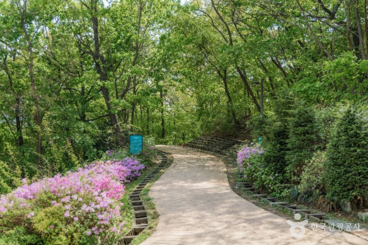 북서울꿈의숲 여행 추천 - 메고지고