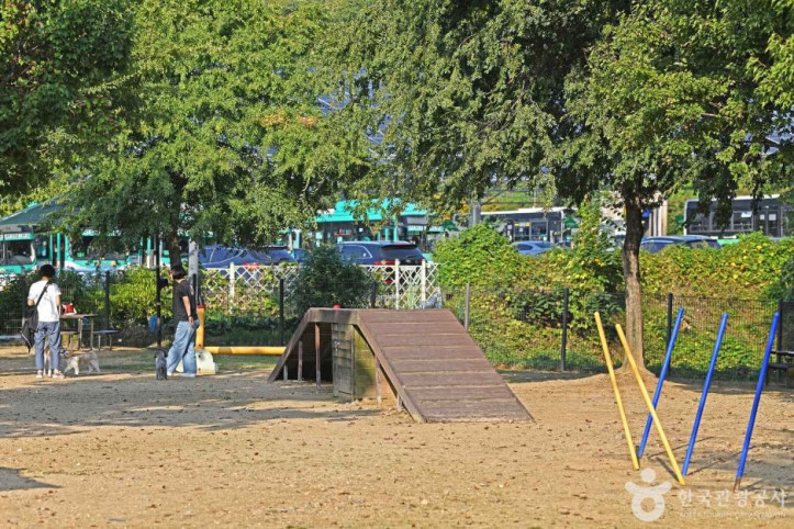 광교호수공원 반려견 놀이터 여행 추천 - 메고지고