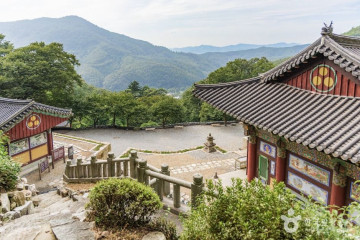 석포숲공원 여행 추천 - 메고지고