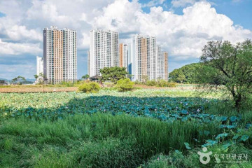 지산샛강생태공원 여행 추천 - 메고지고