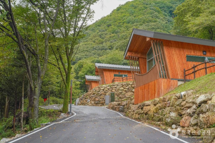 국립 운장산자연휴양림 여행 추천 - 메고지고