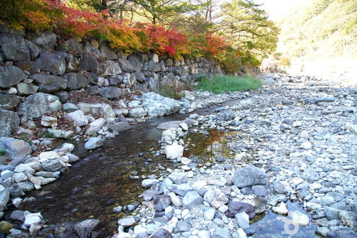 담터계곡 여행 추천 - 메고지고