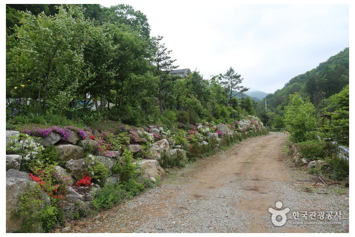 계방산(홍천) 여행 추천 - 메고지고