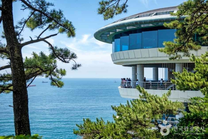 태종대 여행 추천 - 메고지고
