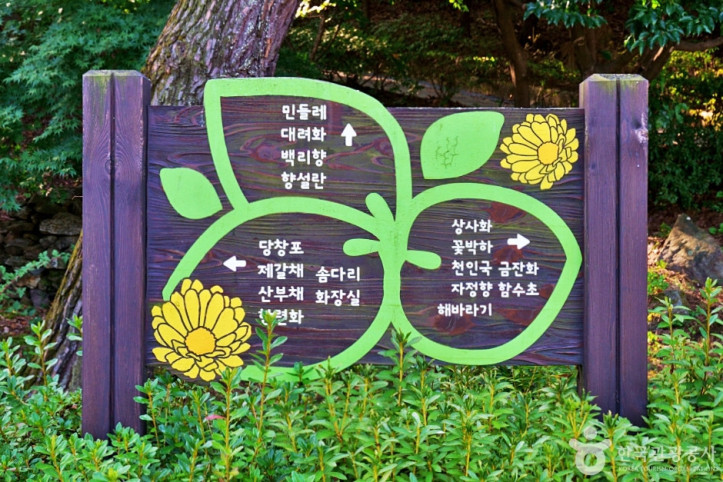 수레의산자연휴양림 여행 추천 - 메고지고