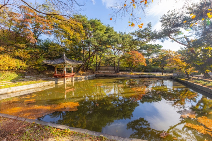 창덕궁과 후원 [유네스코 세계유산] 여행 추천 - 메고지고