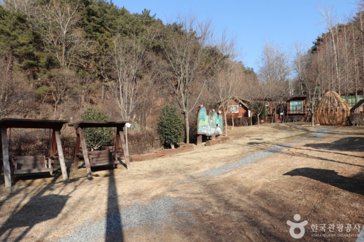 입화산자연휴양림 여행 추천 - 메고지고