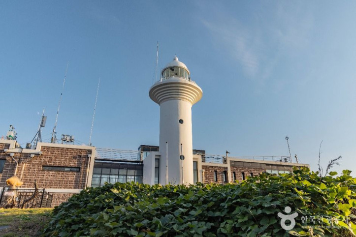 울릉도 등대(태하등대) 여행 추천 - 메고지고