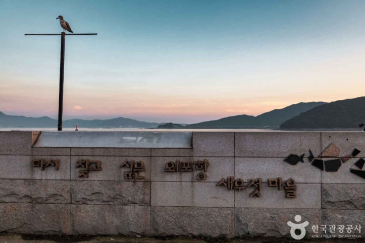 외포리선착장 여행 추천 - 메고지고