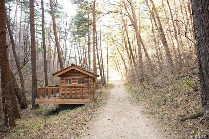 삼척 준경묘 여행 추천 - 메고지고