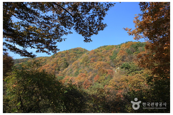 치악산국립공원 여행 추천 - 메고지고