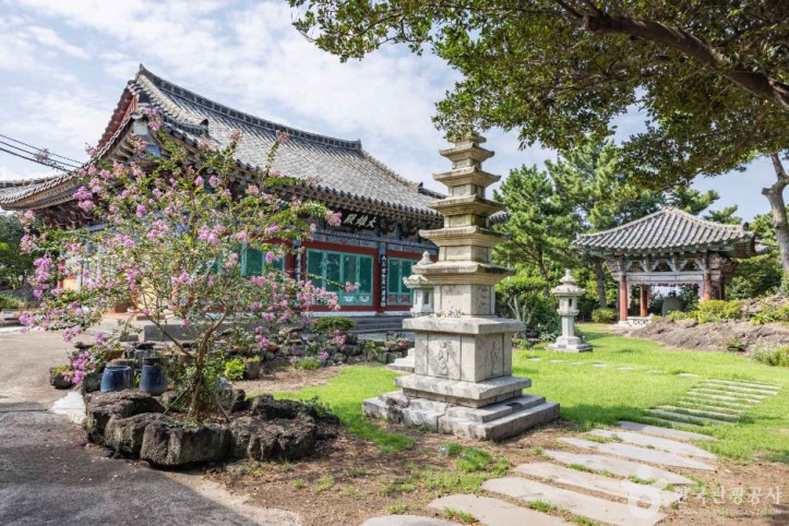 금룡사(제주) 여행 추천 - 메고지고