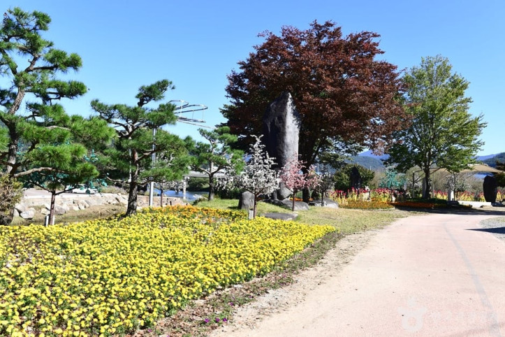 대황강 자연휴식공원 여행 추천 - 메고지고