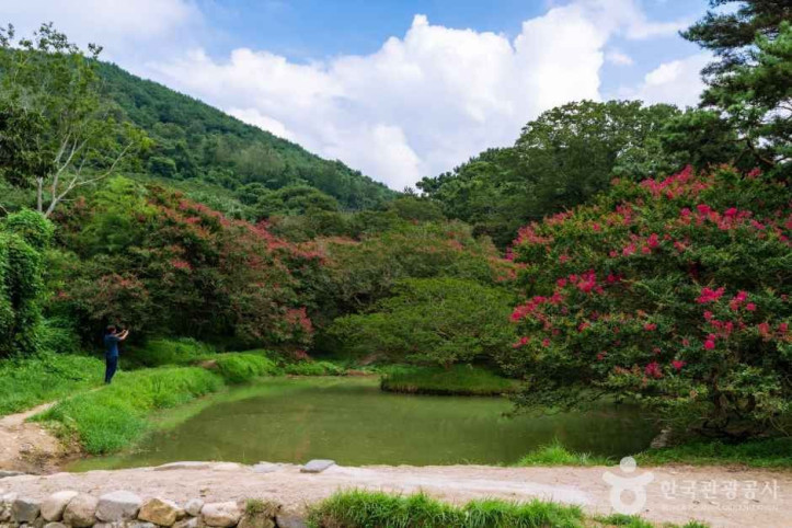 담양 명옥헌 원림 여행 추천 - 메고지고