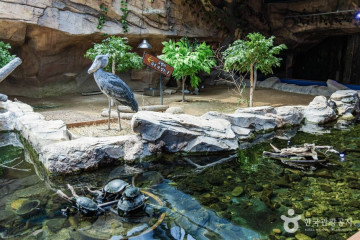 실안낙조 여행 추천 - 메고지고