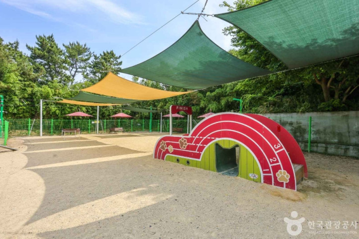 봉화재 반려견 놀이터 여행 추천 - 메고지고