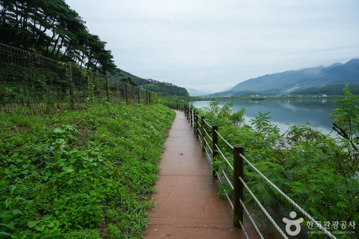 청천호 둘레길 여행 추천 - 메고지고
