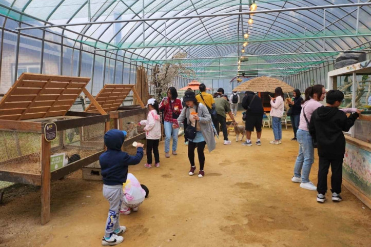 대관령 주주파크 여행 추천 - 메고지고