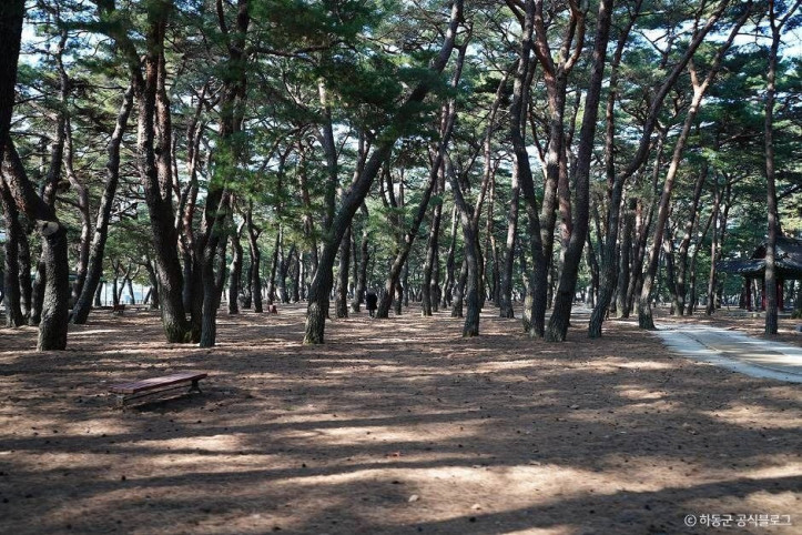 하동송림공원 여행 추천 - 메고지고
