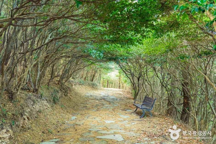 우암 송시열 글쓴바위 여행 추천 - 메고지고