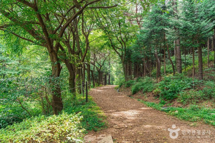 문수산산림욕장 여행 추천 - 메고지고