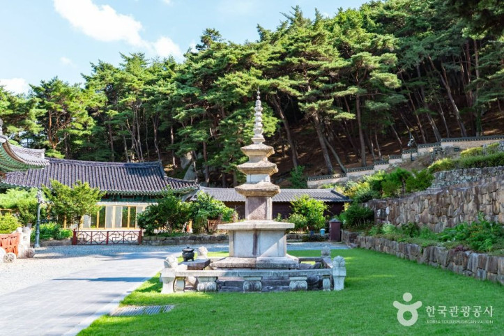 보리사(경주) 여행 추천 - 메고지고