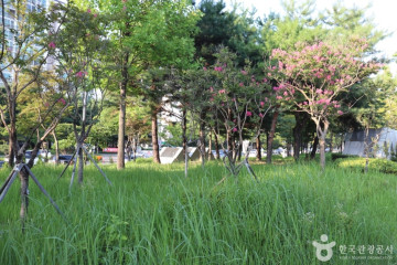 둔산선사유적지 여행 추천 - 메고지고