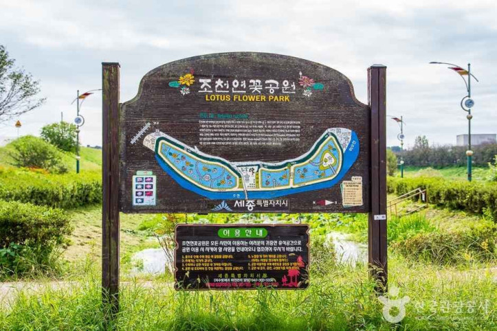 조천연꽃공원 여행 추천 - 메고지고