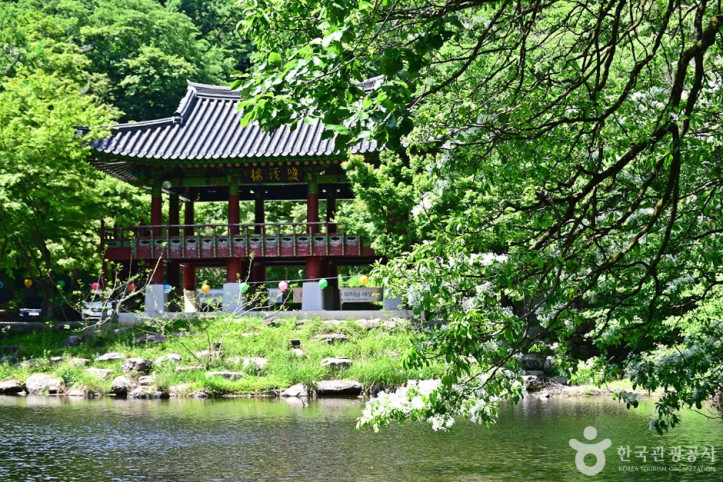 쌍계루 여행 추천 - 메고지고