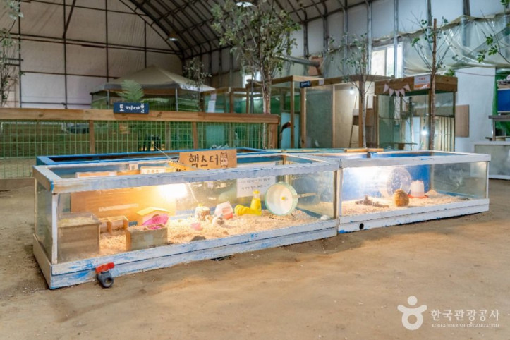 온동물체험농장 여행 추천 - 메고지고