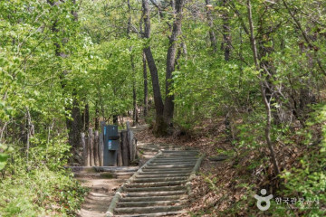 초안산 여행 추천 - 메고지고