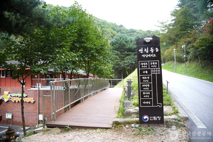 국립 백운산자연휴양림(원주) 여행 추천 - 메고지고
