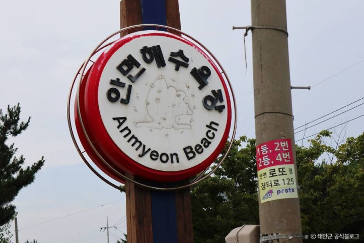 안면해수욕장 여행 추천 - 메고지고