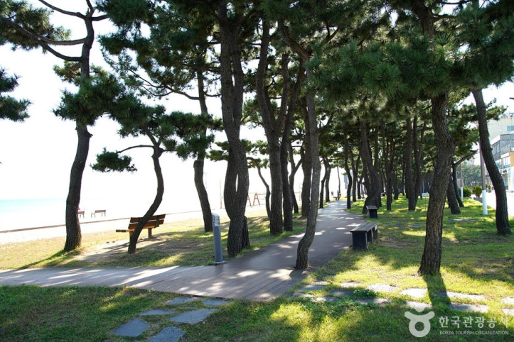 낙산도립공원 여행 추천 - 메고지고