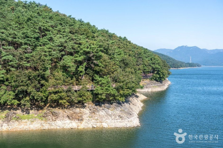 장성호 수변길 여행 추천 - 메고지고