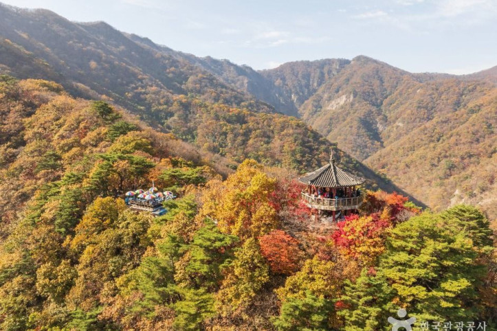 내장산국립공원 여행 추천 - 메고지고