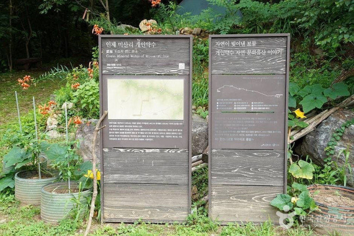 인제 미산리 개인약수 여행 추천 - 메고지고
