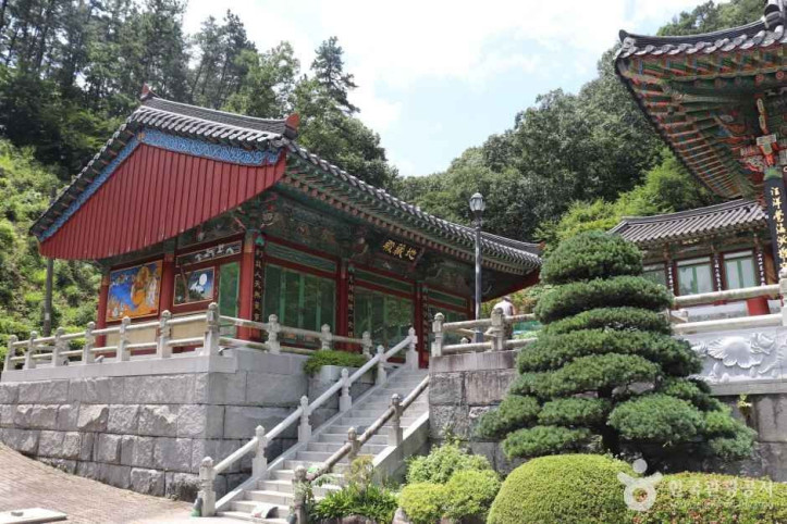 학림사(세종) 여행 추천 - 메고지고
