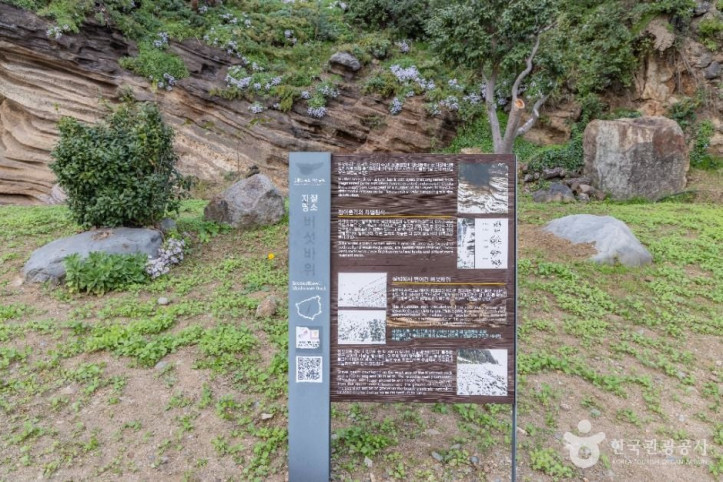 버섯바위 (울릉도, 독도 국가지질공원) 여행 추천 - 메고지고
