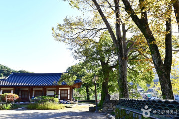 선암 자연휴양림 여행 추천 - 메고지고