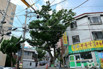 봉제산공원 여행 추천 - 메고지고