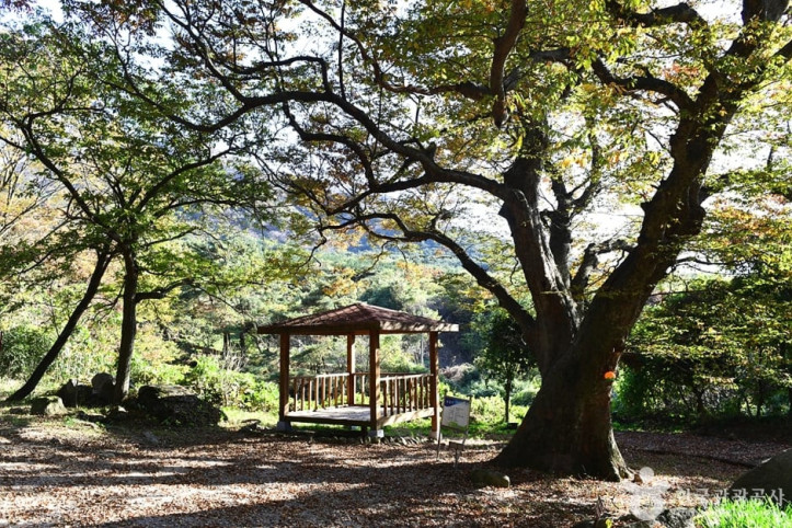 고산 여행 추천 - 메고지고