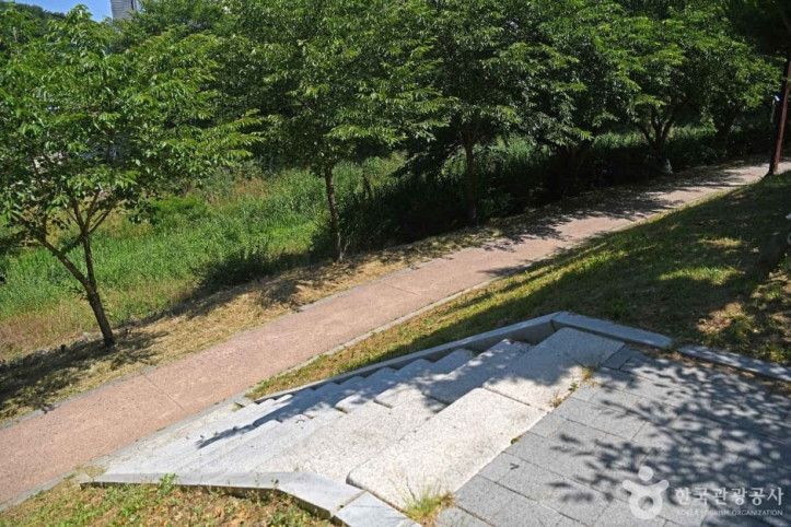 당진천 벚꽃길 여행 추천 - 메고지고